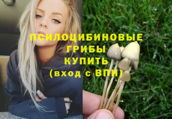 дживик Арсеньев