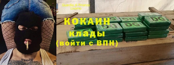 дживик Арсеньев